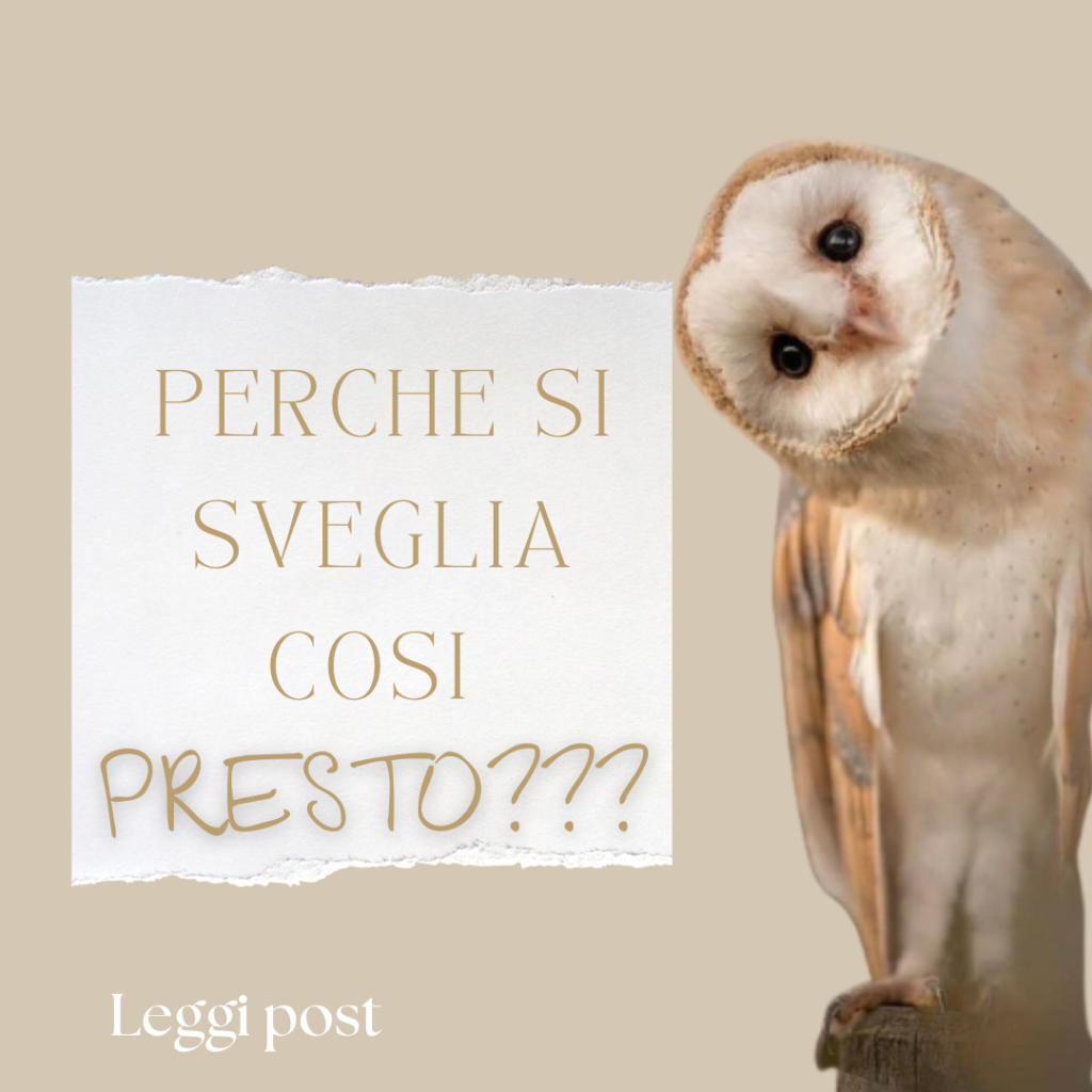 Perché si sveglia così presto?